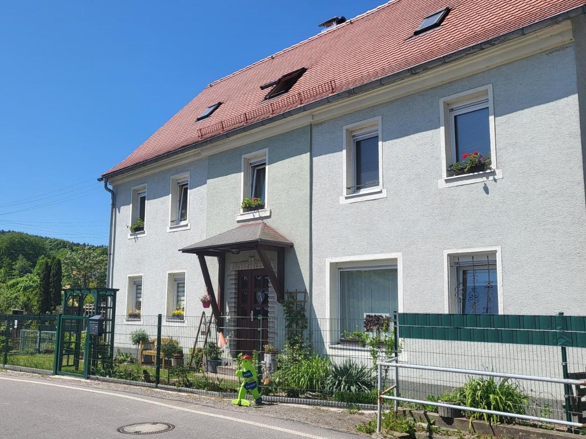 Ferienwohnung Simmert Kurort Gohrisch Exteriér fotografie